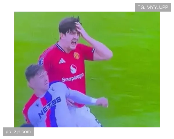 水晶宫2-1逆转纽卡斯尔，主场气势如虹