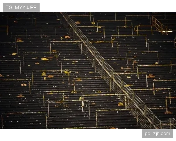 多特蒙德-黄墙-因每平方米容量超标0.3人面临欧足联整改